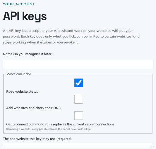 API keys page with the key name field, permission checkboxes, and the single-website field.
